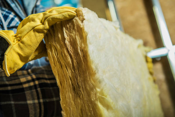 Best Best Insulation Companies  in Broxton, GA