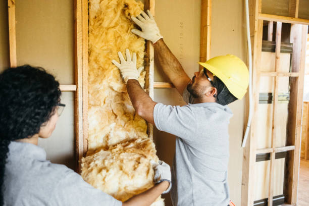 Best Attic Insulation Near Me  in Broxton, GA