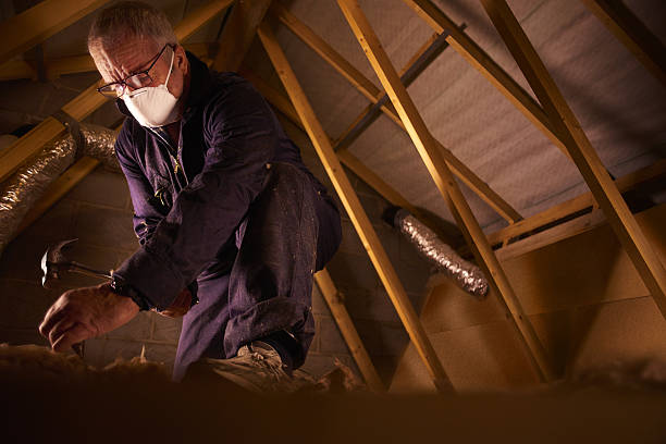 Best Insulation for New Construction  in Broxton, GA